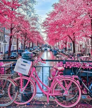 Meylinks1's profile picture. 