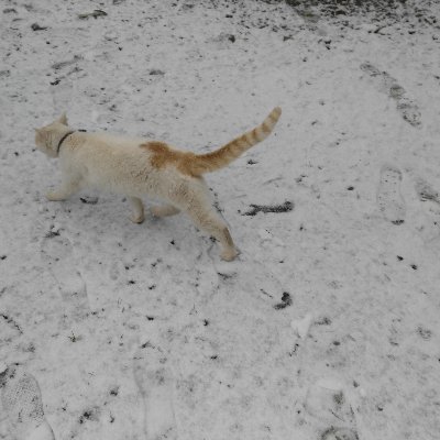 nars6062's profile picture. 