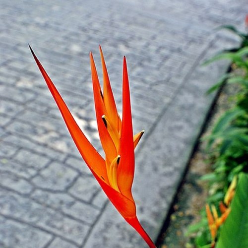 khairi_zayana23's profile picture. enjoy the question..dont worry about the answer