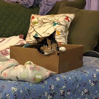 newageswordsman's profile picture. Hey there! I'm a writer, constantly working on the same book series for 8+ years, no end in sight. Big One Piece, BTVS and FFX fan. She/her, 29.