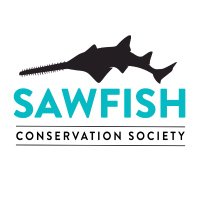 SawfishConservation (@sawfishconserv) 's Twitter Profile Photo SawfishConservation (@sawfishconserv) 's Twitter Profile Photo