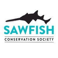 SawfishConservation(@sawfishconserv) 's Twitter Profile Photo