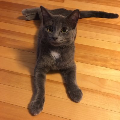 MaryJoMcMenamin's profile picture. Mum, wife. Typos almost guaranteed