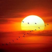 A P J (@apisajaraba) 's Twitter Profile