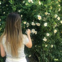 ayselmacidli (@ayselmacidli) 's Twitter Profile