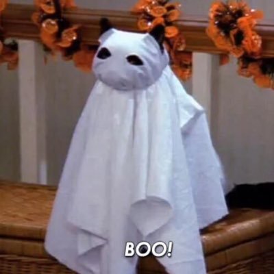 drekoss's profile picture. 