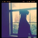 Carrie Duncan - @daisies518 - Twitter