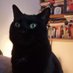 Gerrard (Prof. Felix Black) and the Butler. (@proffelixblack) Twitter profile photo Gerrard (Prof. Felix Black) and the Butler. (@proffelixblack) Twitter profile photo