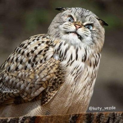 Eroomylime13's profile picture. What the what??!!