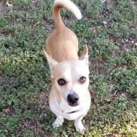 Alex (@btswreckedmetoo) 's Twitter Profile