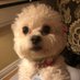 Rosie Beans and OTB ๐ LOLA (@beans_rosie) Twitter profile photo Rosie Beans and OTB ๐ LOLA (@beans_rosie) Twitter profile photo