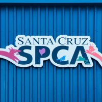 Santa Cruz SPCA (@santacruzspca) 's Twitter Profile