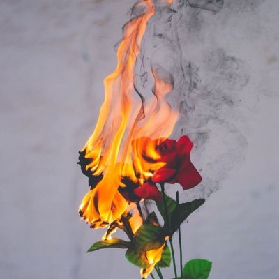 tchyssola_f's profile picture. 