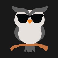 Blind Owl(@RealBlindOwl) 's Twitter Profile Photo