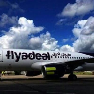 لدينا تذاكر طيران على طيران اديل
وفلاي ناس🛩✈ بخصم يصل الى30
%من سعر التذكرة لتواصل على رقم الواتس اب +970595548710