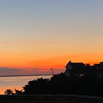 MizzenH's profile picture. Not now.