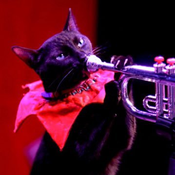 Tabitha_Blain's profile picture. Tabby 🐱 UTPB 🧡 Music education 👩🏼‍🏫 Trumpet 🎺