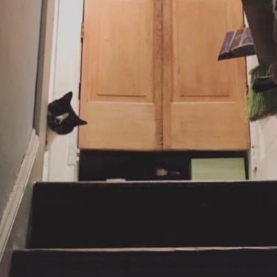 DJ_Raps's profile picture. 