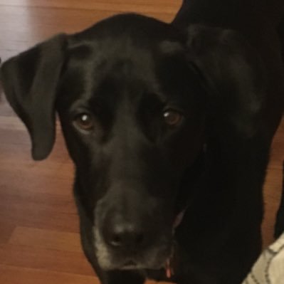 KimRuss44582610's profile picture. 