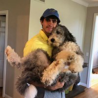 Jack Steibel (@jacksteibel) 's Twitter Profile