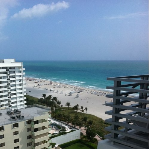 elonieto's profile picture. 