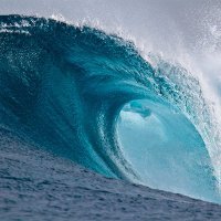 Coastal (@jackymarr) 's Twitter Profile
