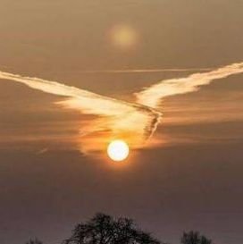 kimuken3i's profile picture. 