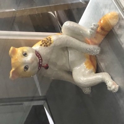 Kittenc85342076's profile picture. 