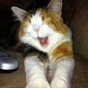 Lucy Jacobson - @luciferjacobson - Twitter