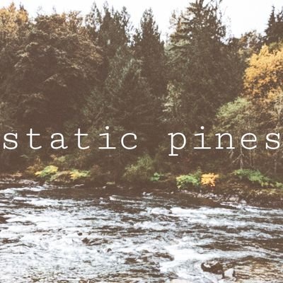 staticpines's profile picture. words about music by @hikikohoney