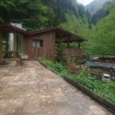 Adim2020Adim's profile picture. I love green nature