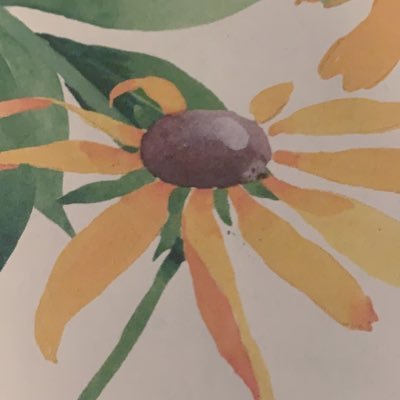 AbigailKinny01's profile picture. 