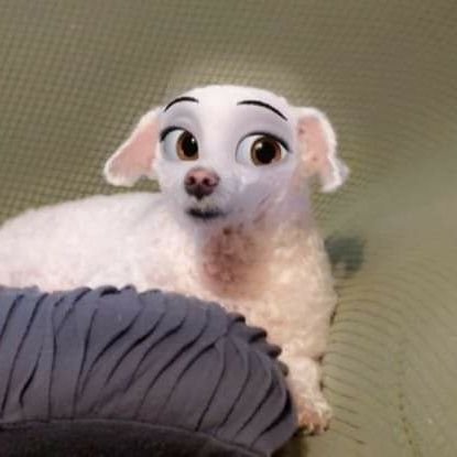 JazzytonesPj's profile picture. 