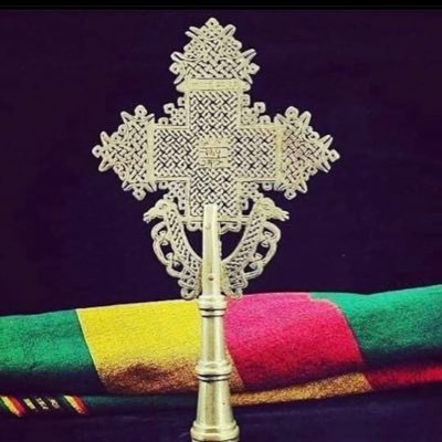 Selam_T_mina's profile picture. she/her