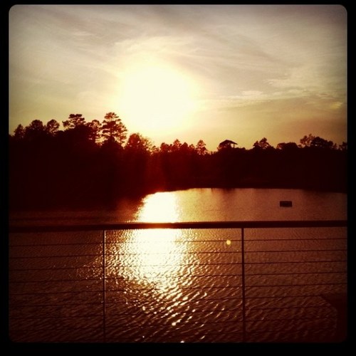 summermp's profile picture. 