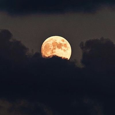 JuanLatuff12's profile picture. Te dejo un besito por si me estás stalkeando.