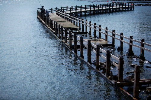 eciaris's profile picture. Photografer