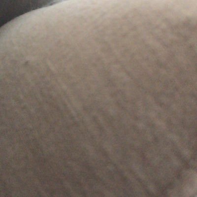 mutou1994's profile picture. 无