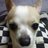 Estrela0901's profile image