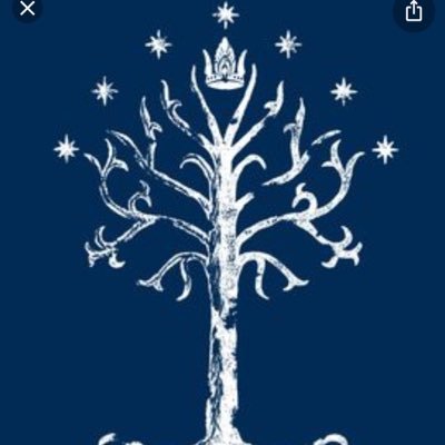 Catholic Integralist ✝ Religion Teacher, Our Lady of Guadalupe, Diocese of Rockville Centre, New York ✝ St. John's Univ. 2018
Catechist for 7th & 8th grade