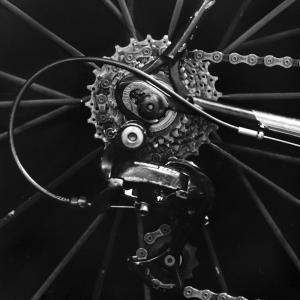 s53_tom's profile picture. 