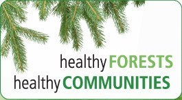Healthy Forests-Healthy Communities initiative aims to inform decision-makers about the people’s vision for the forest lands of British Columbia