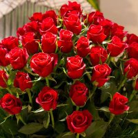 متحرر يمني (@mut7rr_1990) 's Twitter Profile