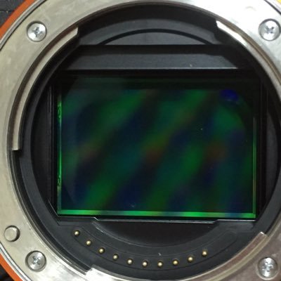 NickLesS2504's profile picture. 