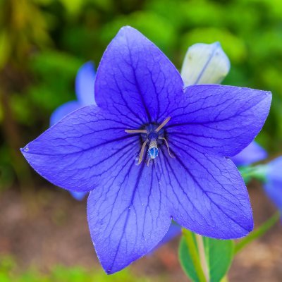 hide20200912's profile picture. 土の中からの発見、土との対話が趣味、元お城好き。カツオはカツオのタタキより刺身派。