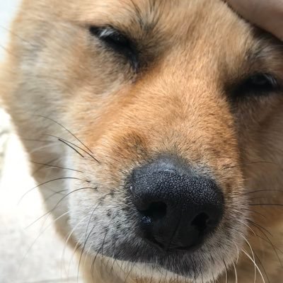じょうくら Jokura18 Twitter じょうくら Jokura18 Twitter