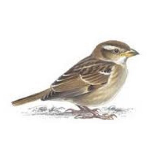 stingshift's profile picture. 頭の中のモヤモヤを言葉で凝固させる作業。