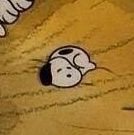 dudum_tss's profile picture. 阪大文学部卒業/みーあキャット2期/任天堂💕ゼルダ🐔/ENG^KOR OK