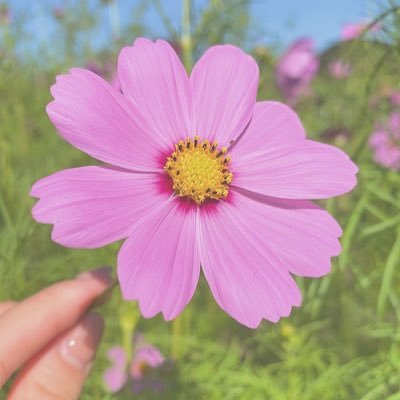 iryouzimdr's profile picture. 8年目医療事務＆医師事務作業補助者。算定方法•査定傾向など情報発信、収集垢。診療報酬請求事務能力認定合格。秘書準1級。診療情報管理士。副業でもレセプトみてます！ステップアップに転職するか悩み中🤔💭