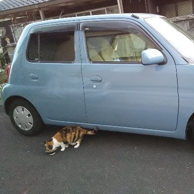 猫拾い民：🐱屋内全9名
電子漫画民：死にたがりと雲雀／僕と魔女についての備忘録／マロニエ王国の七人の騎士／八百夜／転がる姉弟／進撃の巨人 …他数多
OTB民：アメ通とKCGX会員
銀河漂流バイファム
増税反対
盲導犬の屋外引率危険すぎるので反対
🇺🇦ウクライナ支持
色々疲れてるおばさん